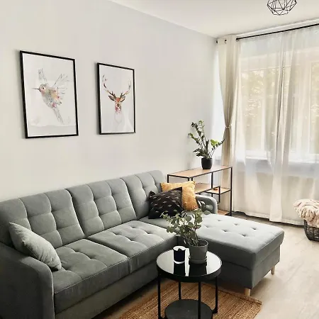 Charming Calliera 12